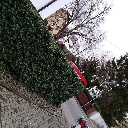 Sroom 118 And 119 In Center Pensionat 3*